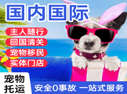 和田昆冈航空运输国际宠物托运 【国